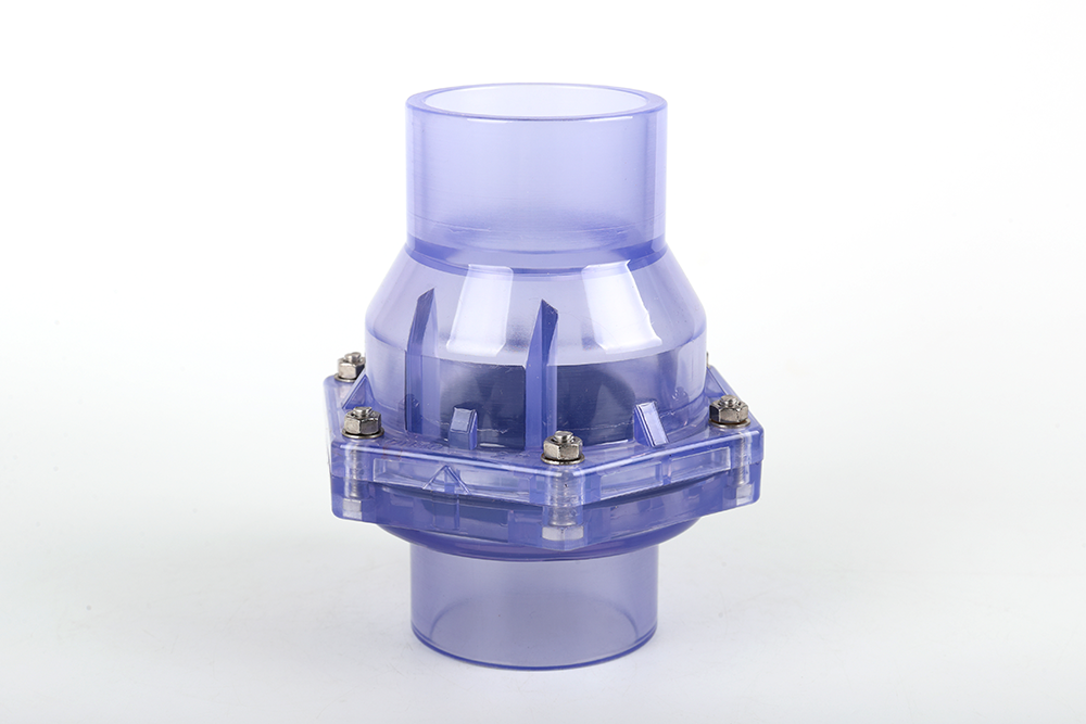 英山透明翻板式止回阀